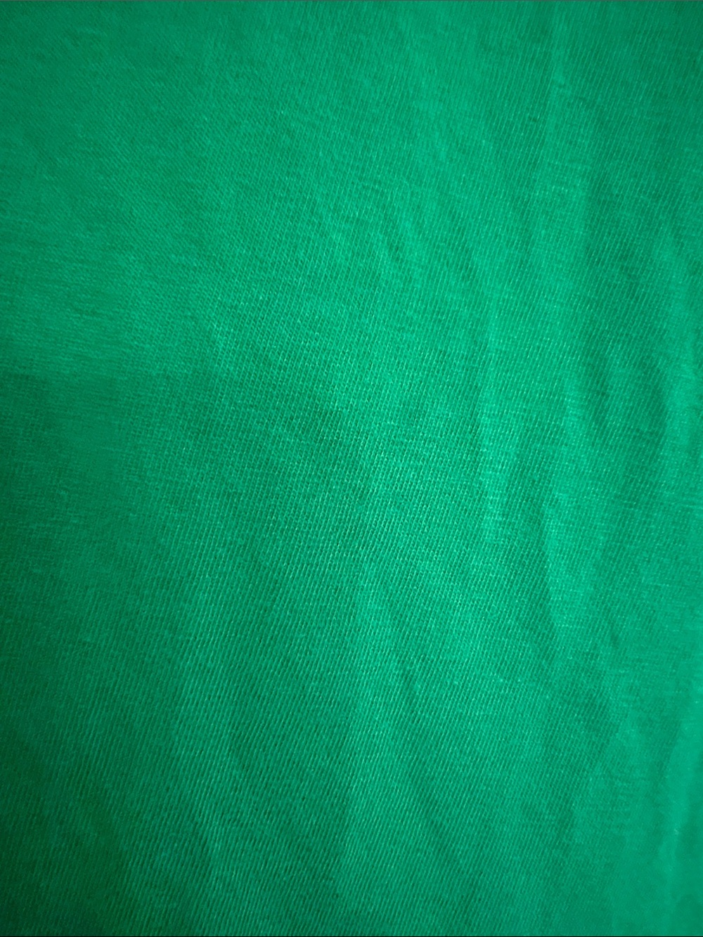 Coldwater Creek Emerald Green Scoop-Neck Embellished Top - Picture 6 of 6